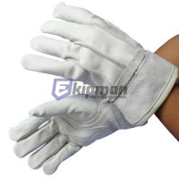 AUT-239-TU-PAR